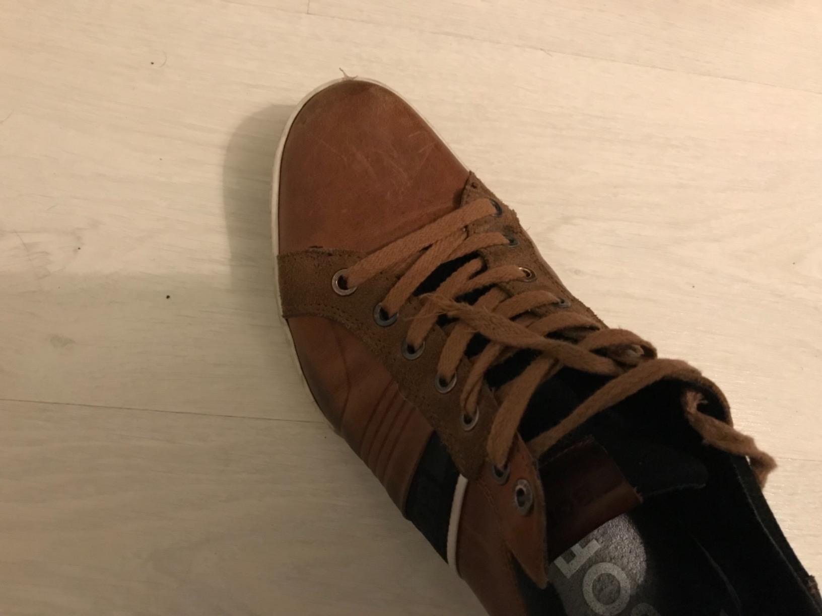 Preis-Leistung stimmt