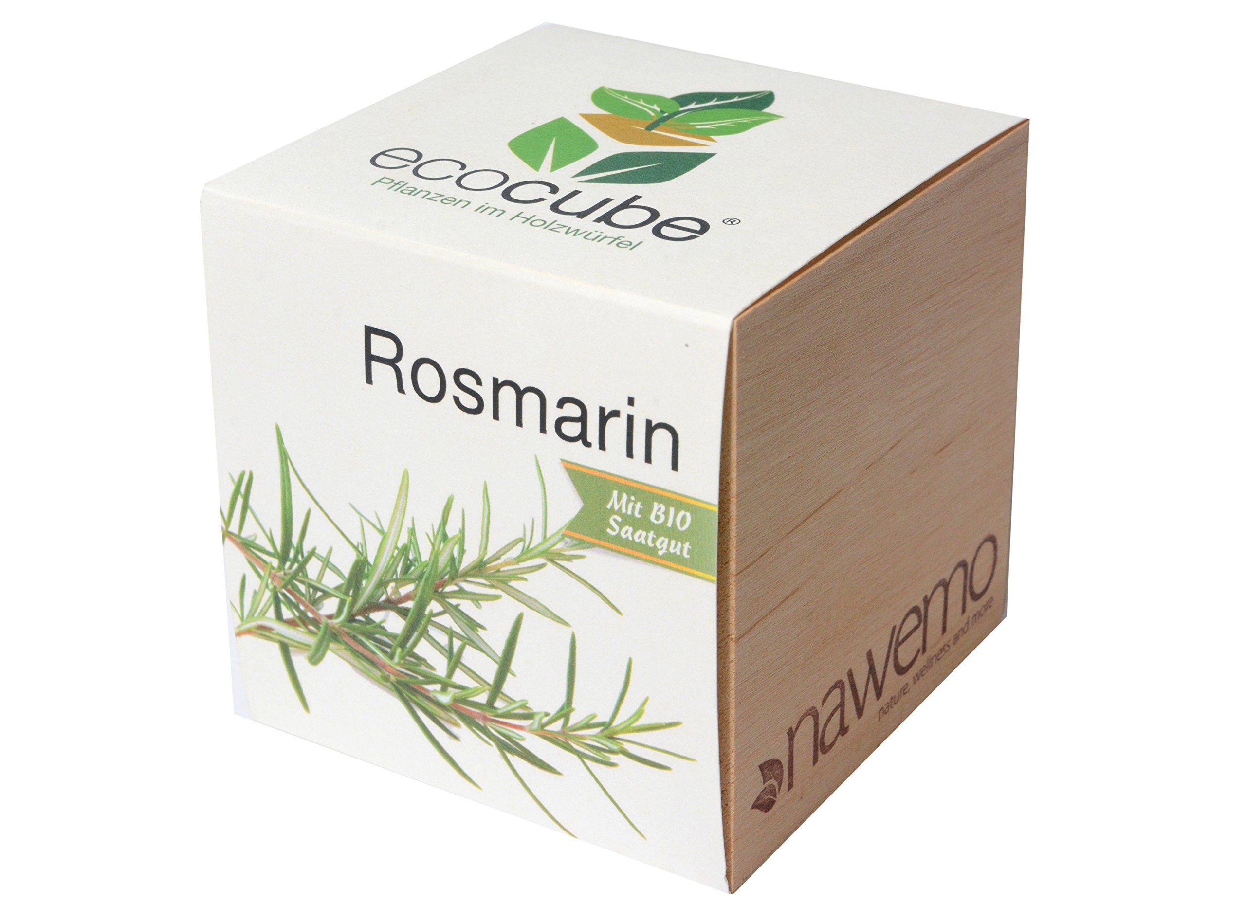 nawemo-ersatz-f-r-pflanzw-rfel-ecocube-rosmarin-im-holzw-rfel image 1