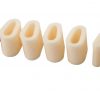 fu-gut-sv029-hallux-zehenkorrektor-set-variant-12-teiliges-zehentrenner-set image 4