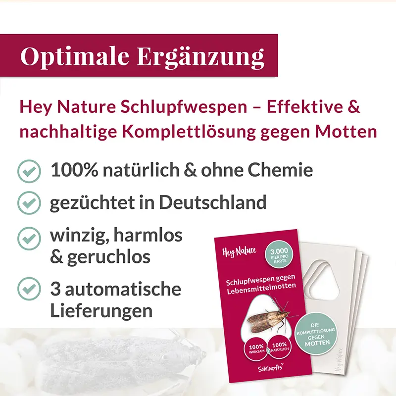 hey-nature-mottenfalle-gegen-lebensmittelmotten image 4