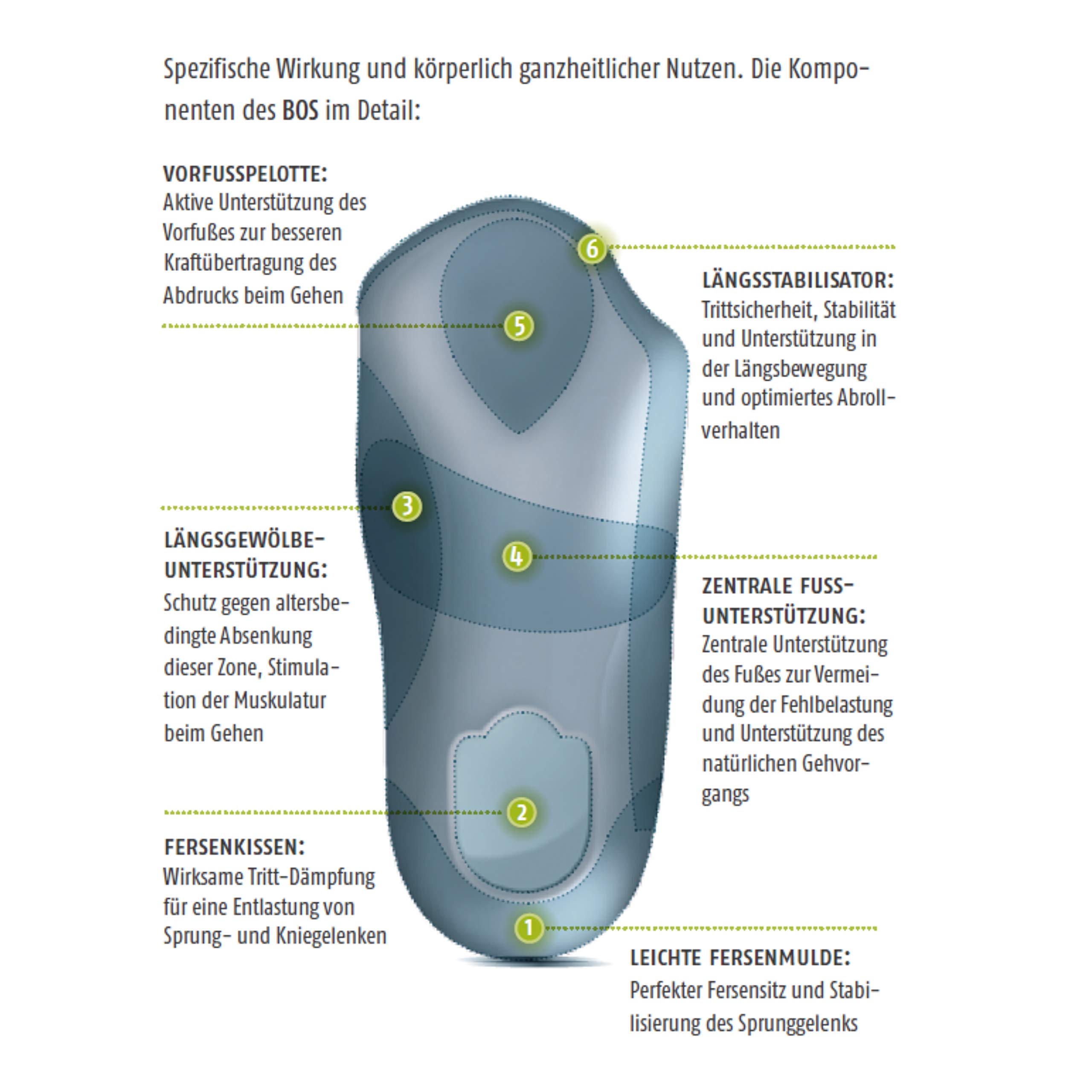 bergal-orthotic-system-leder-komfort-fu-bett-mit-aktivkohle-gr-36-50 image 5