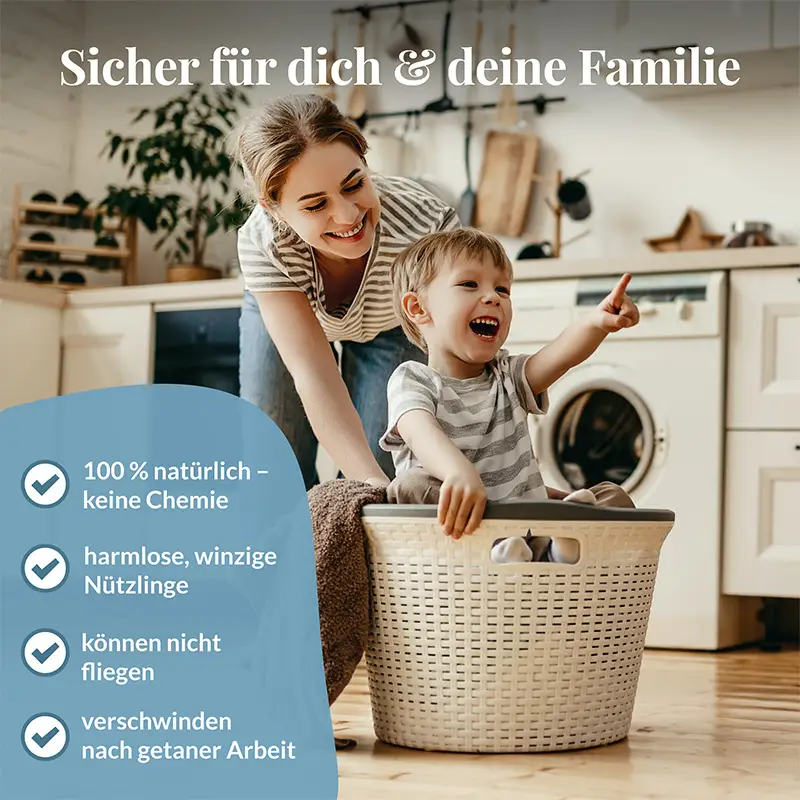 hey-nature-schlupfwespen-gegen-kleidermotten-chemiefreie-l-sung-aus-deutscher-zu image 4