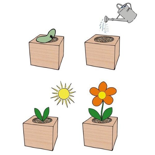 nawemo-ecocube-tabasco-ersatz-pflanzw-rfel-kompatibel image 3