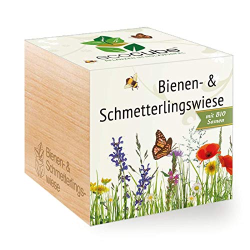nawemo-ersatz-pflanzw-rfel-f-r-ecocube-bienen-und-schmetterlingswiese image 1