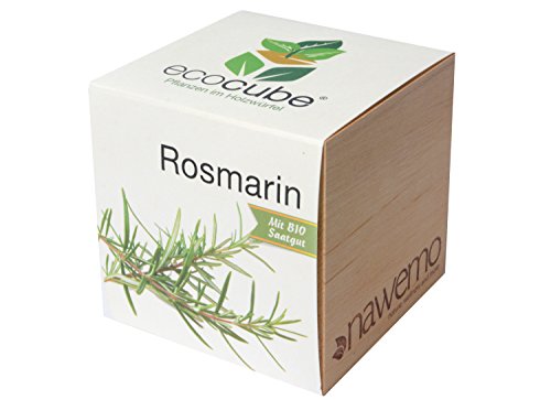nawemo-ersatz-f-r-pflanzw-rfel-ecocube-rosmarin-im-holzw-rfel image 2