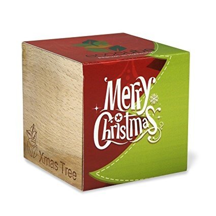 nawemo-ersatz-pflanzw-rfel-f-r-ecocube-weihnachtsbaum-merry-christmas image 1