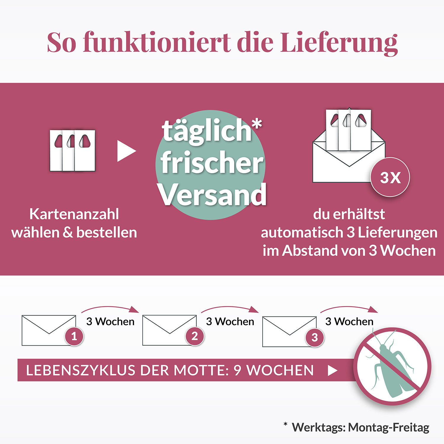 hey-nature-schlupfwespen-gegen-lebensmittelmotten image 3